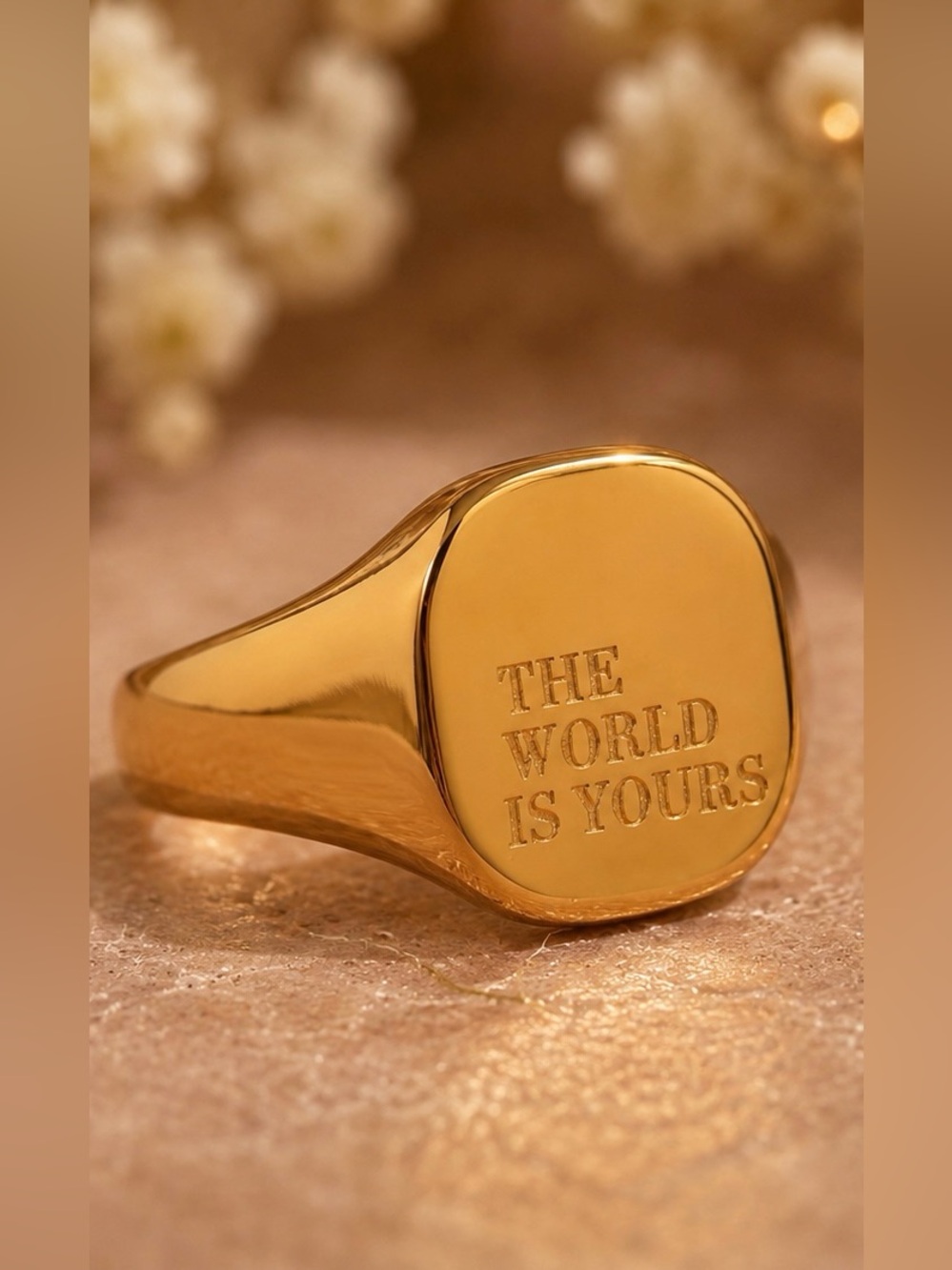 iGold Signet Ring “The World Is Yours” | Statement Pinky Ring | Minimalist Unise
